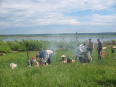 Фрагмент праздника &laquo;Сибирская уха&raquo; 2010 год.